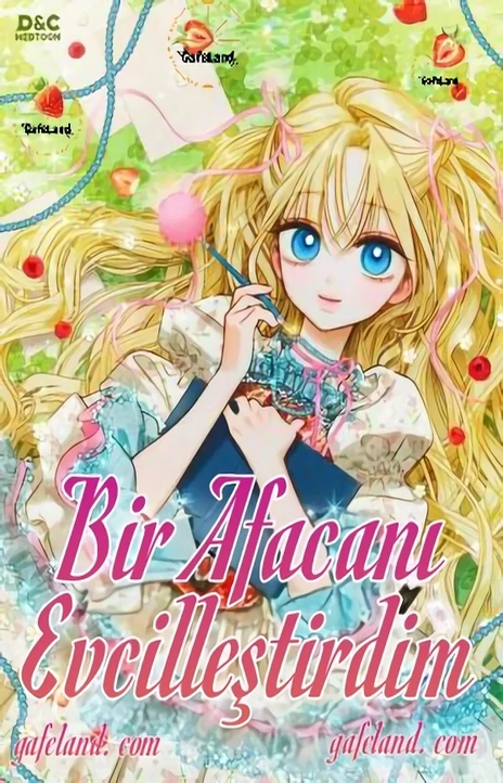 Bir Afacanı Evcilleştirdim Cover Image