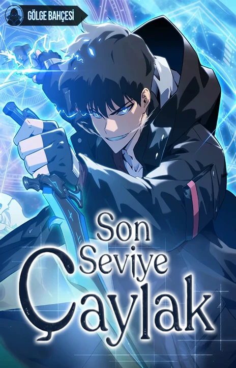 Son Seviye Çaylak Cover Image