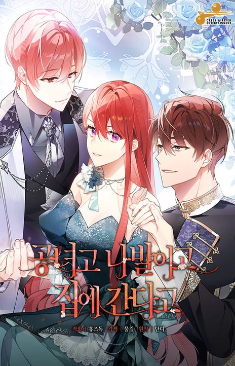 管他什么公女 我要回家 Cover Image